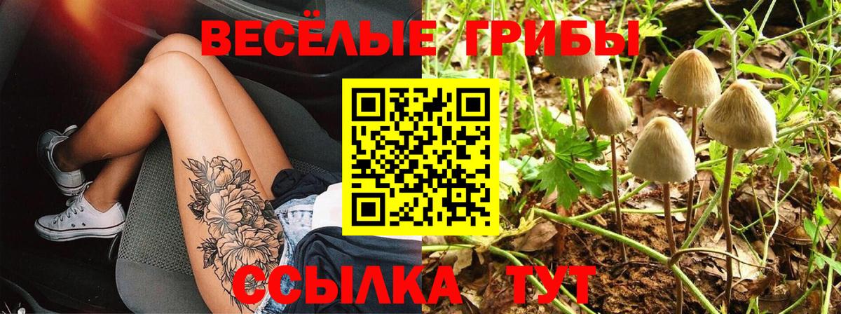 Галлюциногенные грибы GOLDEN TEACHER Тамбов