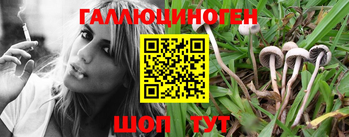 Галлюциногенные грибы прущие грибы  Вход с VPN  Тамбов  цены наркотик  Галлюциногенные грибы мицелий 